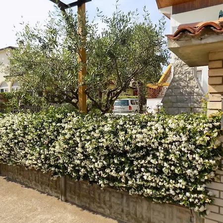 Leporiz Apartment