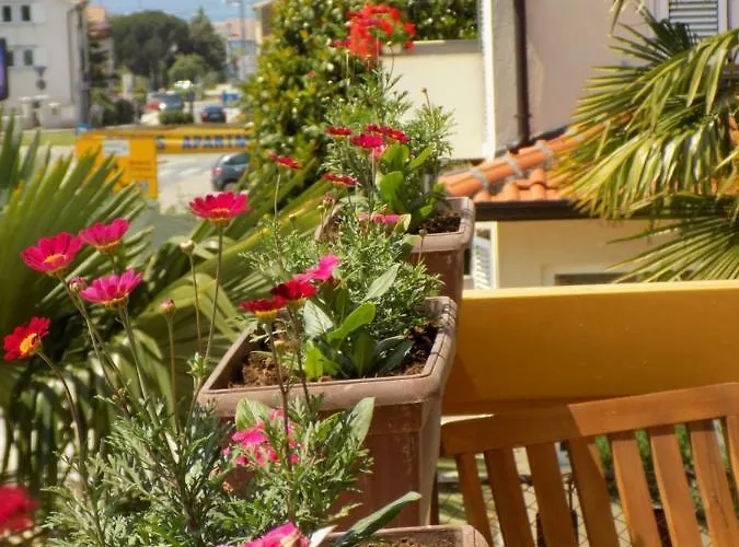 Apartmán Leporiz Poreč